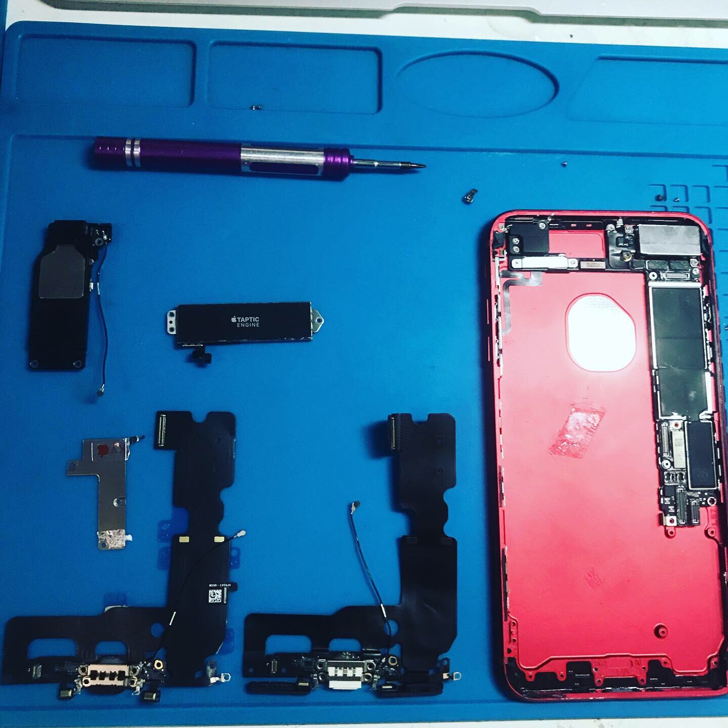 айфон 7 плюс детали, iphone 7 в разборе, iphone 7 plus разобранный, разбор дисплея айфон 7, iphone 7