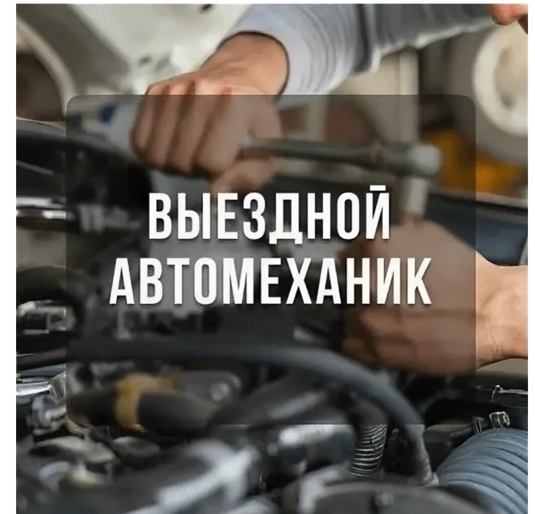 ���������������� ����������������������, ������������������ ����������������������, ���������������������� ����������������������, ������������������ ����������������������, �������������� ���� �������������� ����������������������