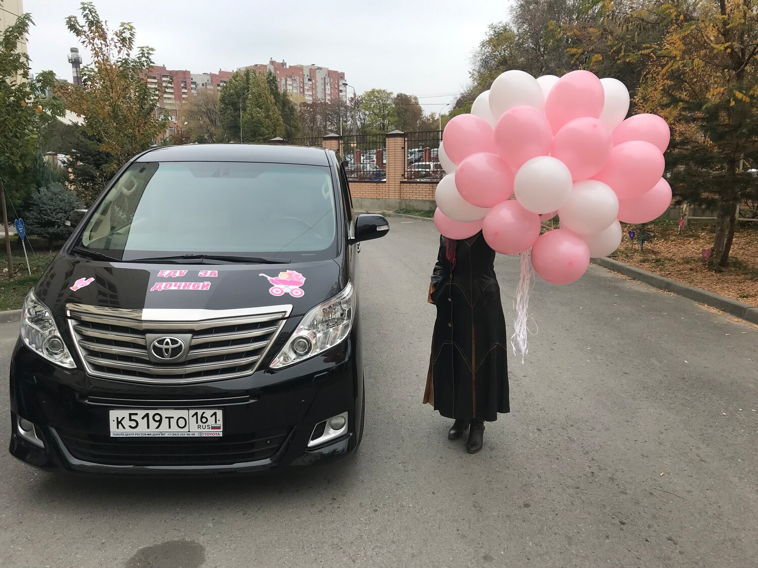 альфард тойота 2014 г, альфард, toyota alphard, toyota alphard 2013, toyota