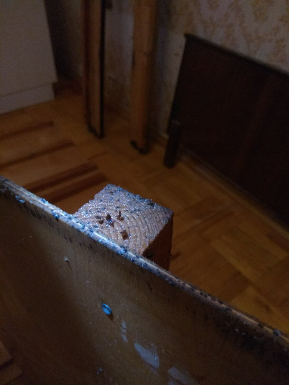 улей на чердаке, чердачное пчеловодство, ловушка для пчел, улей, пчеловодство