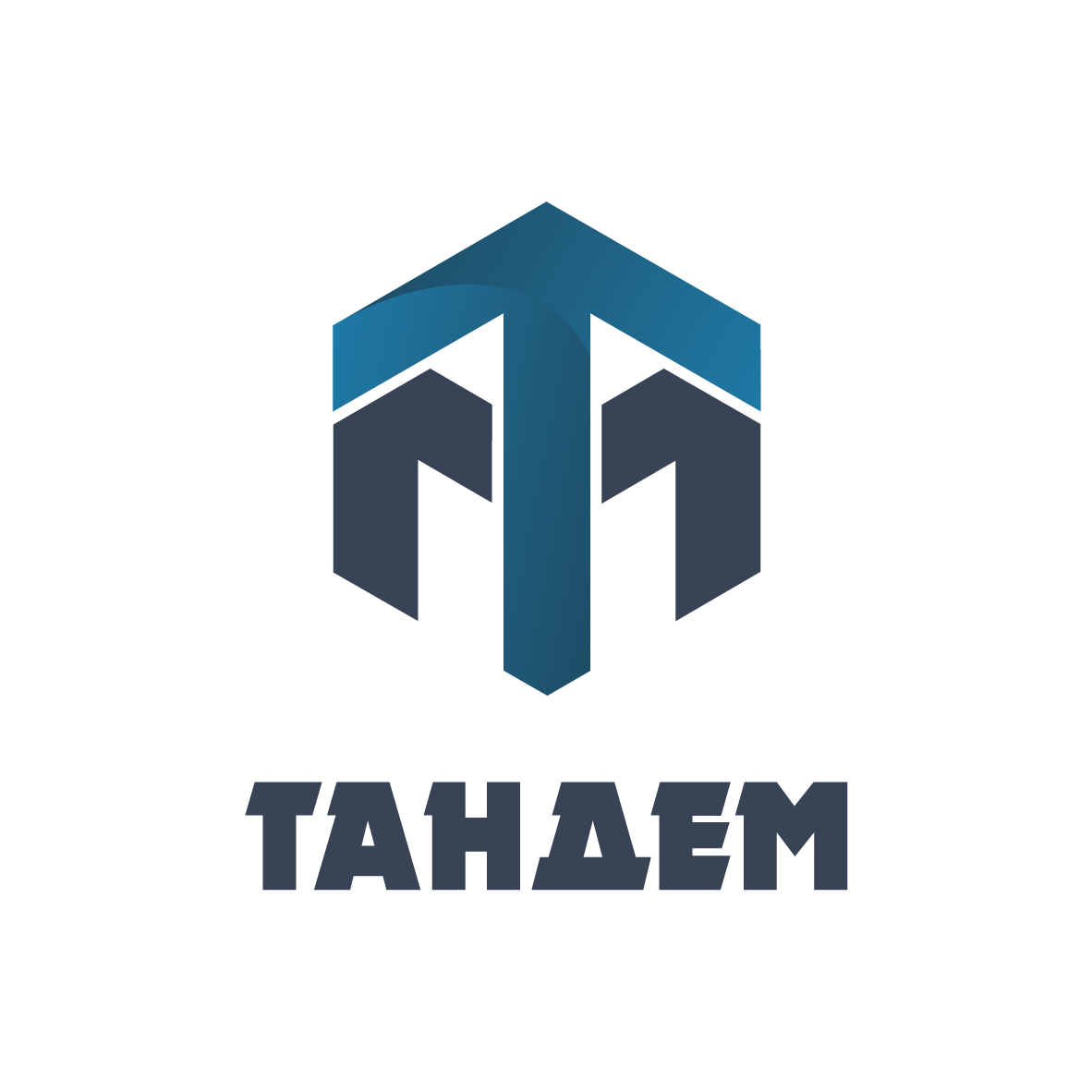 тандем логотип, logo, ооо тск саров, логотипы компаний с полосами, логотип