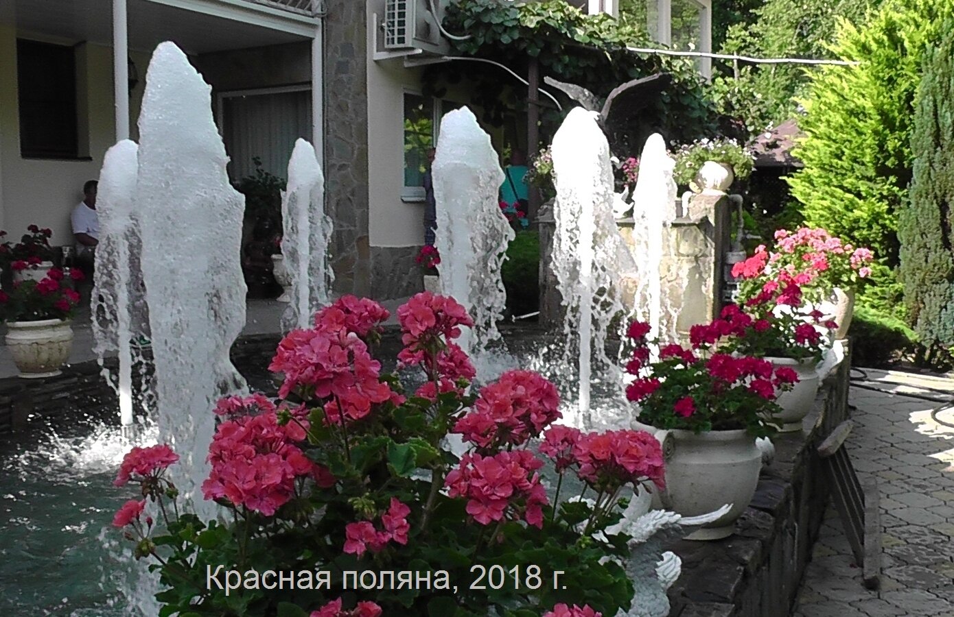 фонтан с пенными струями, фонтан саидок, цветы, растения, любимые цветы