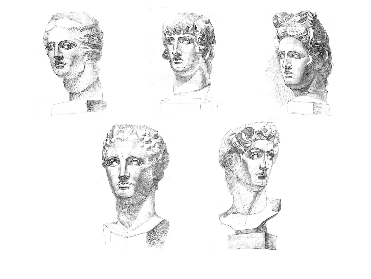 Гермес гипсовая голова академический рисунок