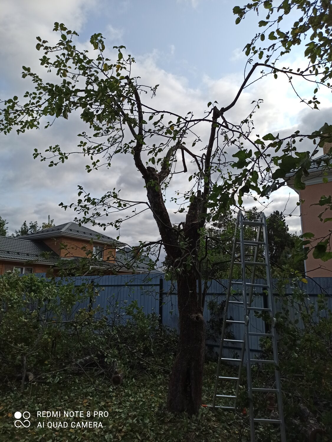 участок, дача, деревни, земельный участок, улица