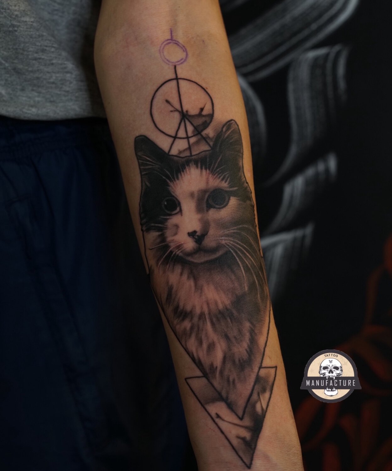 тату кот, тату на предплечье, тату, тату кошка, тату кошка на руке