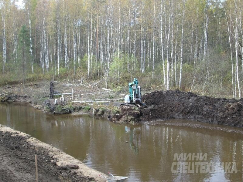 очистка водоемов, очистка пруда, химическая очистка водоемов, очистка рек, осушение болот