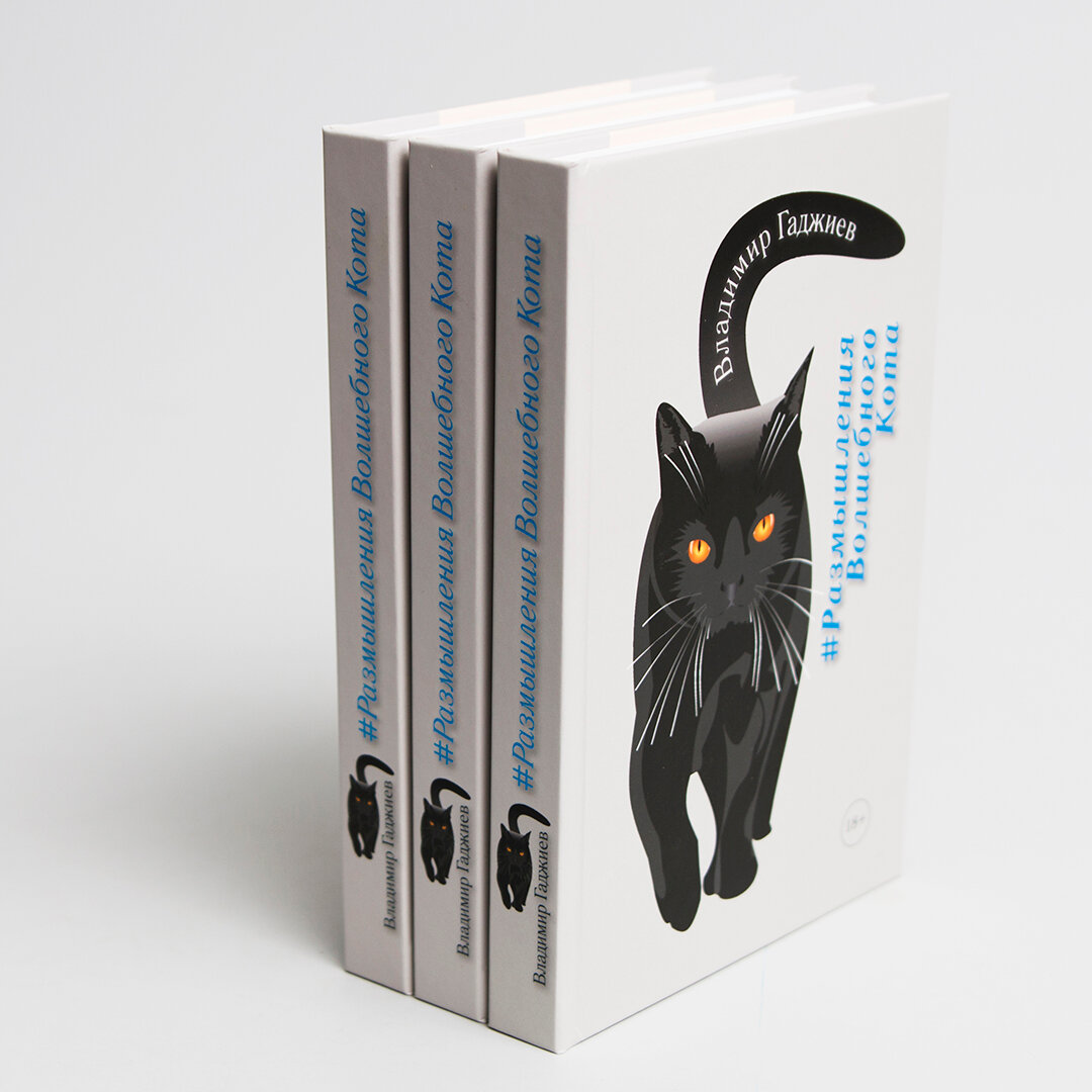 книга, держатель для книг на полке кошка, владимир гаджиев прикосновение волшебного кота книга, держатели для книг, оригинальные держатели для книг