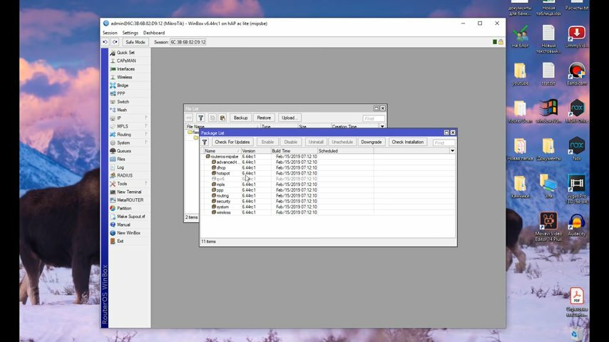 экран с текстом, компьютерная программа, программа, mikrotik, mikrotik export