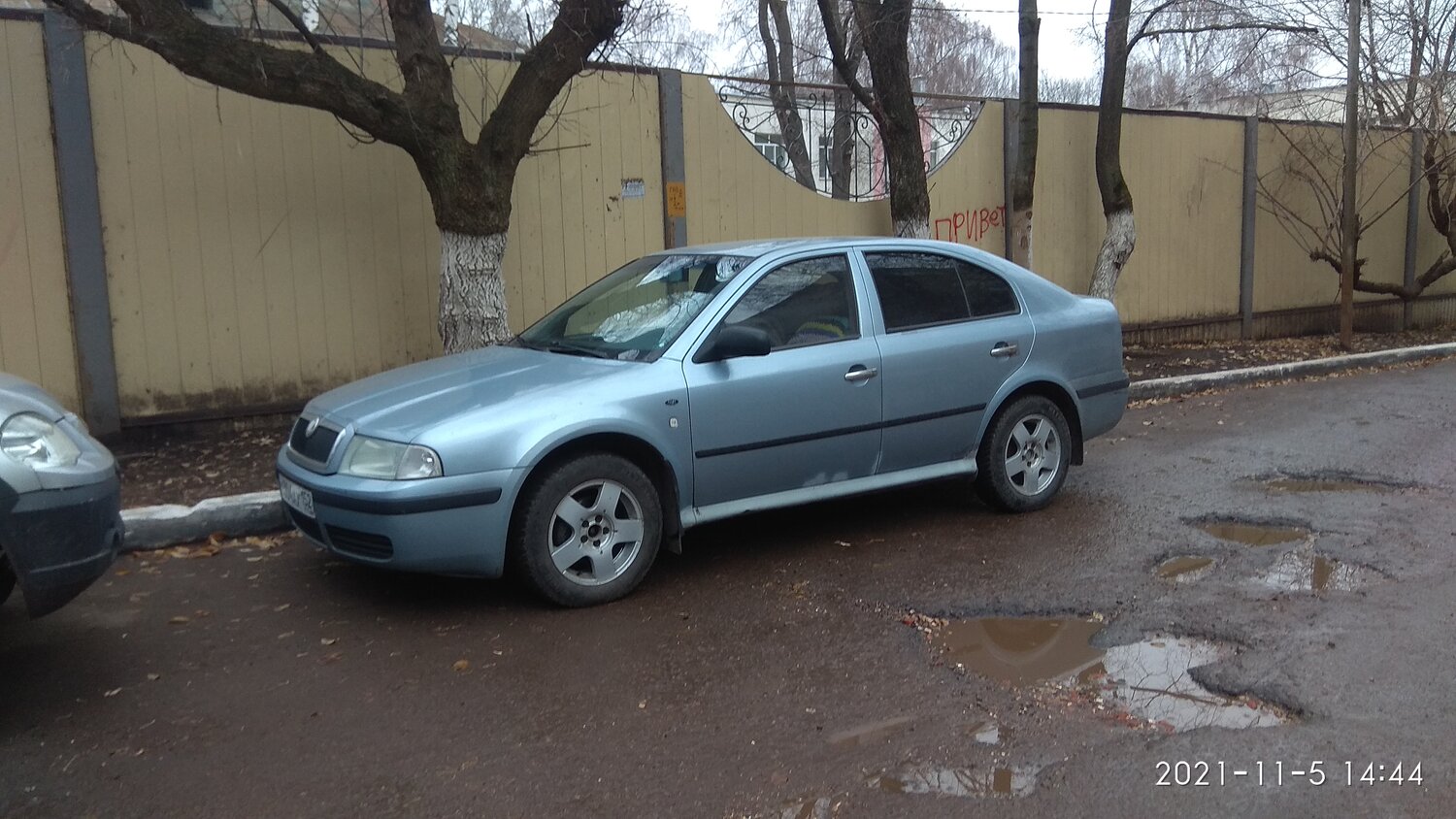 škoda octavia, серая шкода октавия, škoda auto, skoda octavia 2008, Skoda Octavia I Рестайлинг
