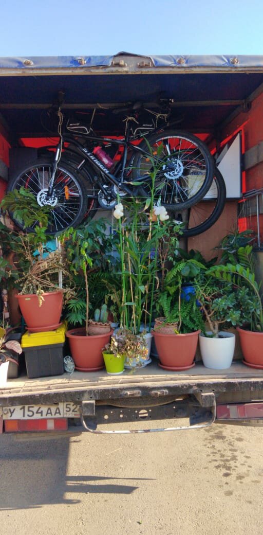 велосипед, велосипед лучший вид транспорта, тележка с цветами, bike, садовая тележка