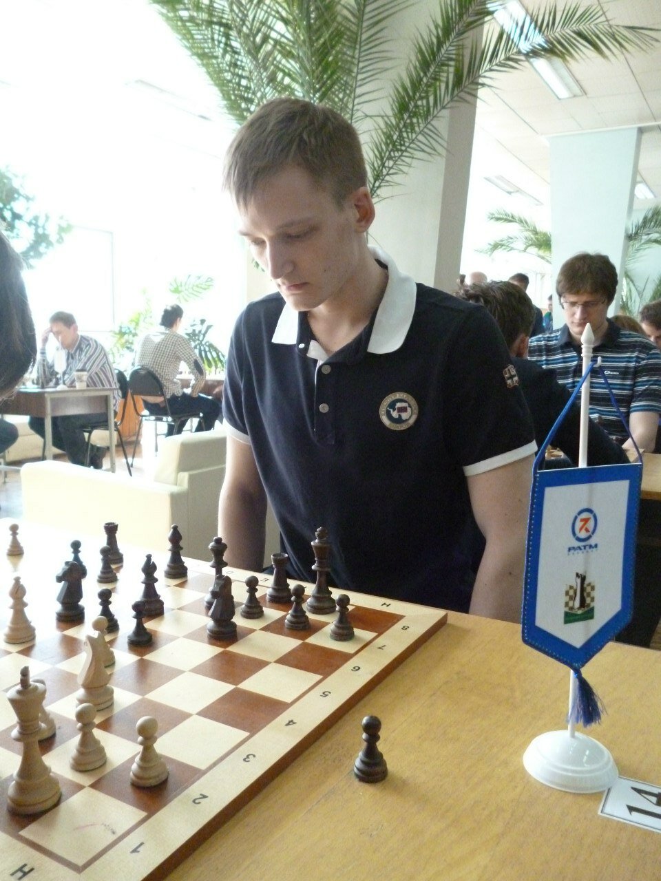 быстрые шахматы, игра в шахматы, chess, шахматы гроссмейстер, шахмат