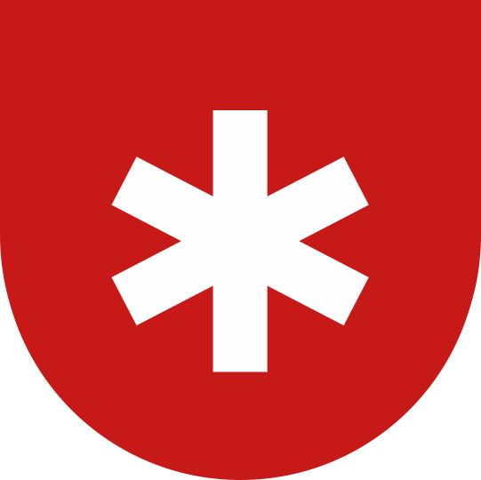 Снег 24