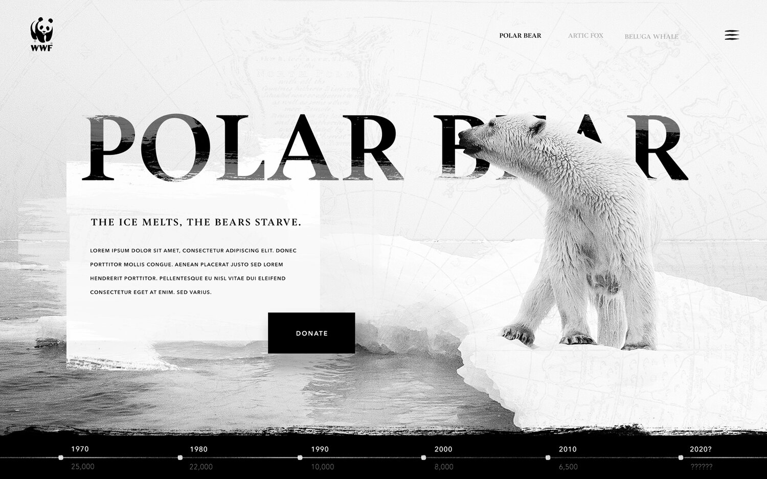 белые медведи, арктический медведь, полярный медведь, polar bear акустическая система, белый медведь пдф