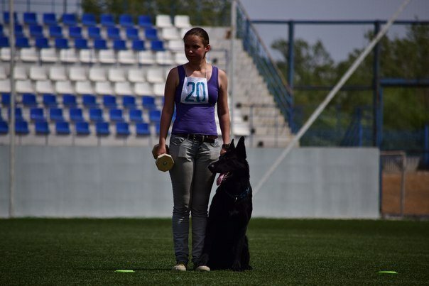 овчарка, человек, собака в, немецкая овчарка, dog