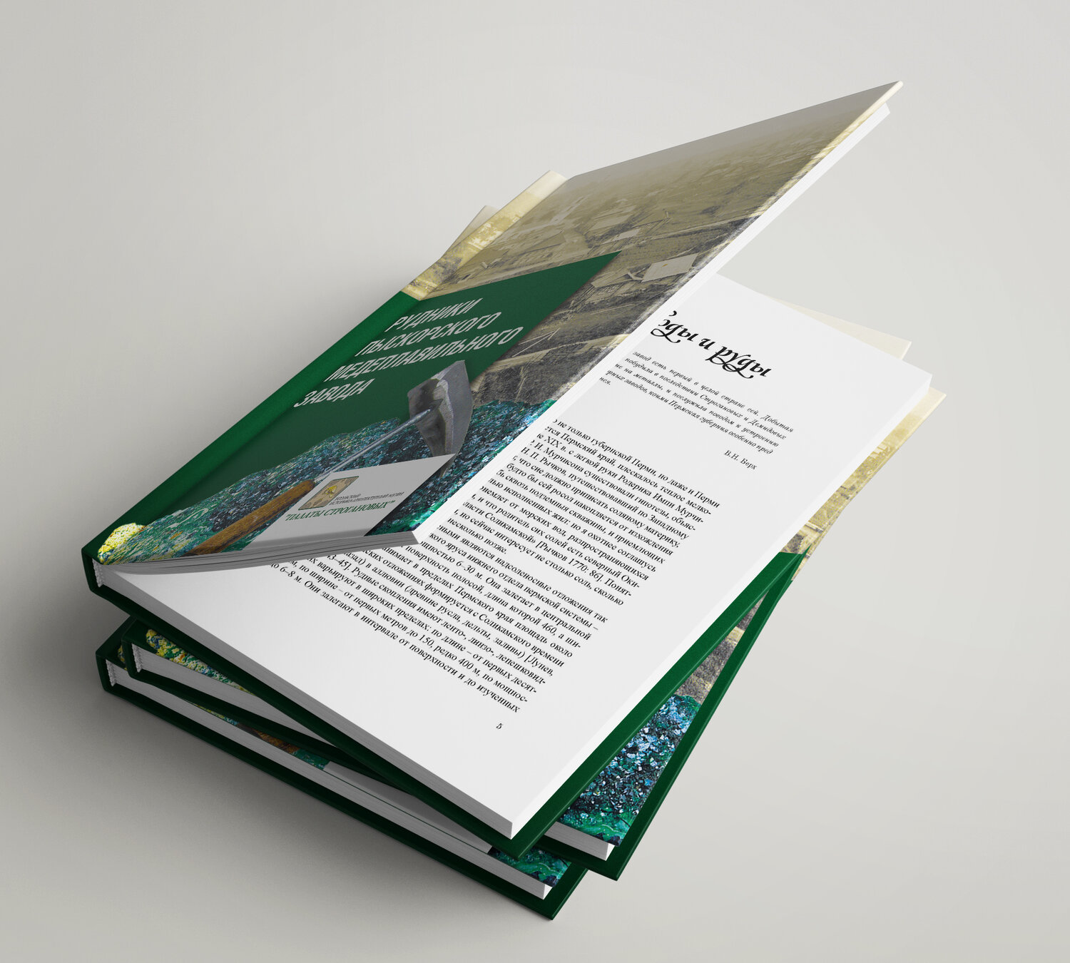 книга, первая книга маккавейская, book, design book, публикация