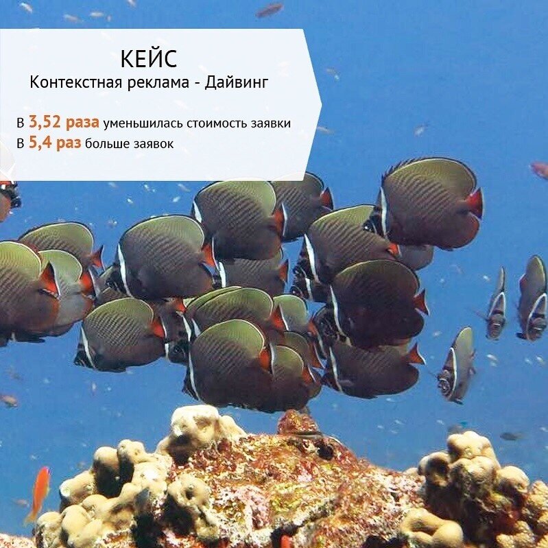дайвинг, подводный мир, рыбы андаманского моря, морские рыбки, дайвинг на самуи