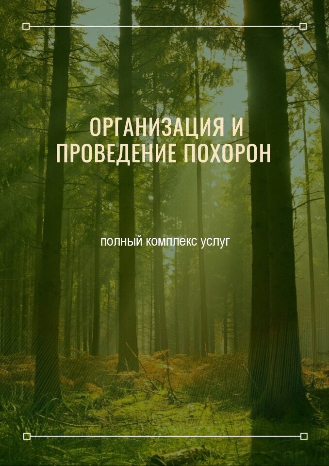 лес, природа лето лес, вопросы про лес, обои на рабочий стол лес, леса россии