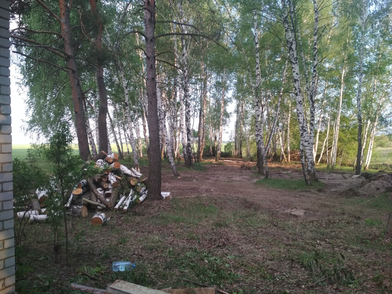 участок, туринск лес, лесная, улица, парк