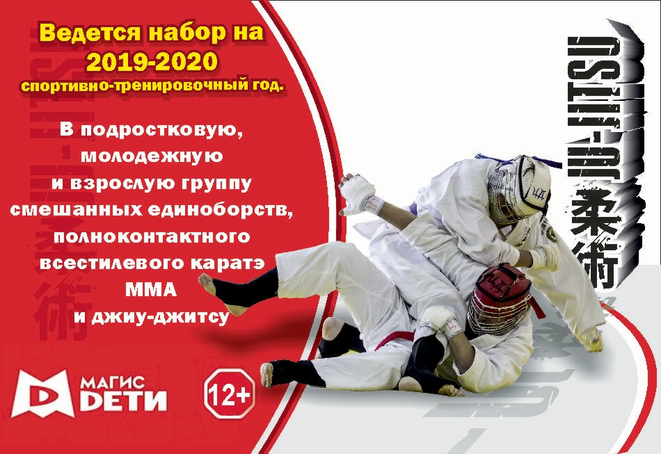 ведется набор в группу карате, джиу джитсу, баннер по рукопашному бою, армейский рукопашный бой плакаты, рукопашный бой