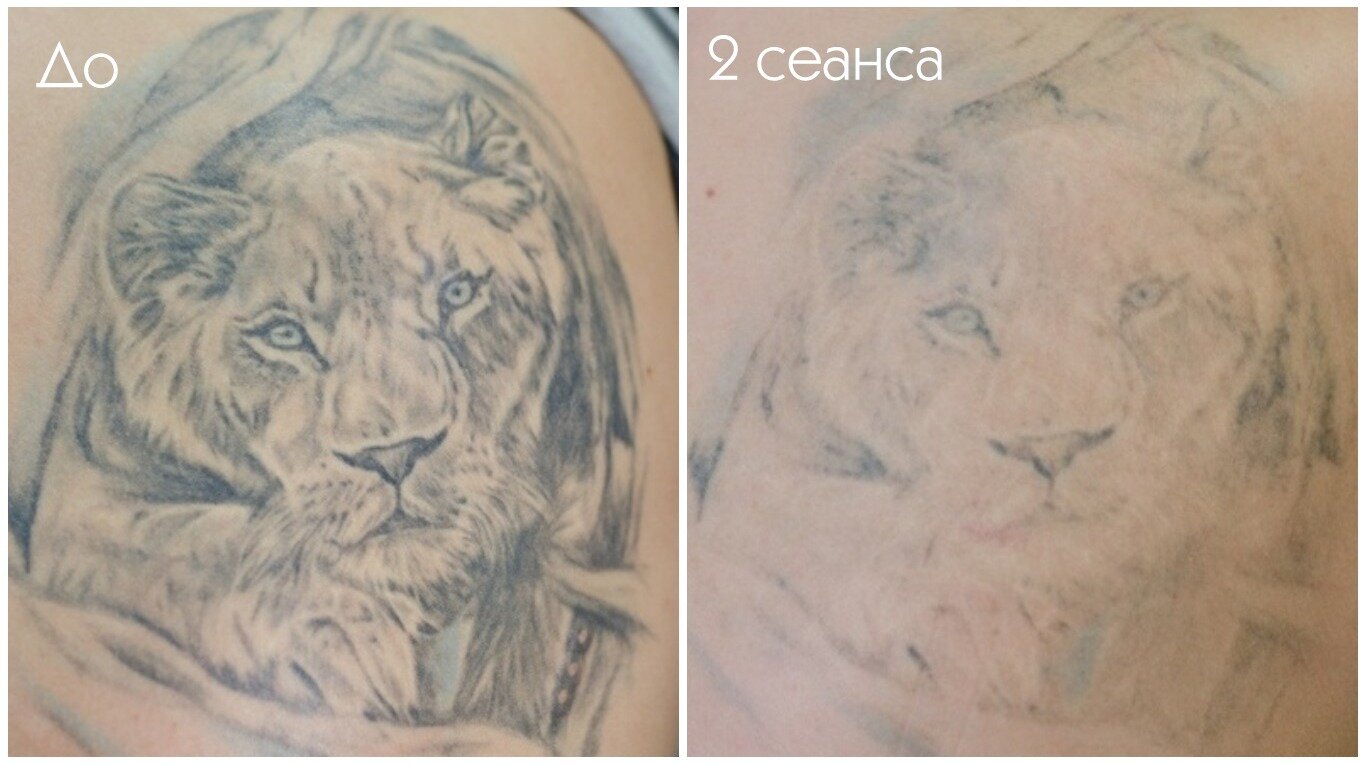 тату львица, тату львица перекрытие, татуировки прайд львов, тату львенок, татуировки животные