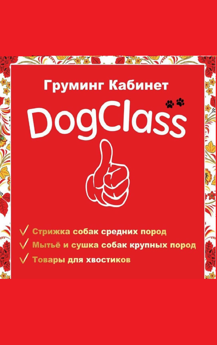 Догкласс