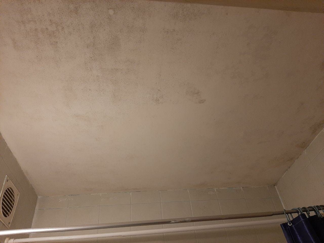 потолок, потолок из плитка потолочная без швов decor-ek d518, потолок в ванной, мокрый потолок, вентиляция в натяжном потолке в ванной
