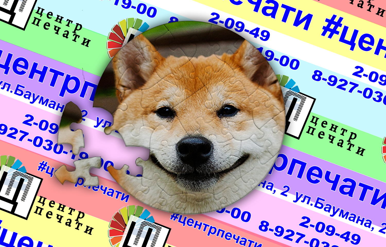 сиба-ину, собака, счастливая шиба ину, собака фиаско, сиба ину роблокс