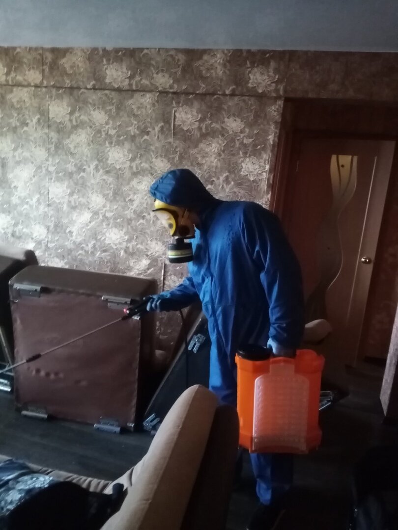 дезинфекция, дезинсекция, дезинфекция домов, заключительная дезинфекция помещений, ленинградский 29 дезинфекция клопов