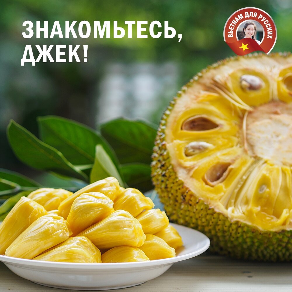 джекфрут дольки, джек фрукт, джекфрут, джекфрут плод, хлебное дерево джекфрут блюдо