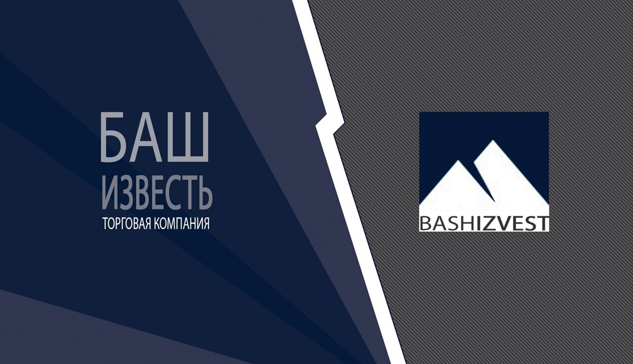 логотип bashizvest, логотип, компания, наш дом, логотип агентства недвижимости