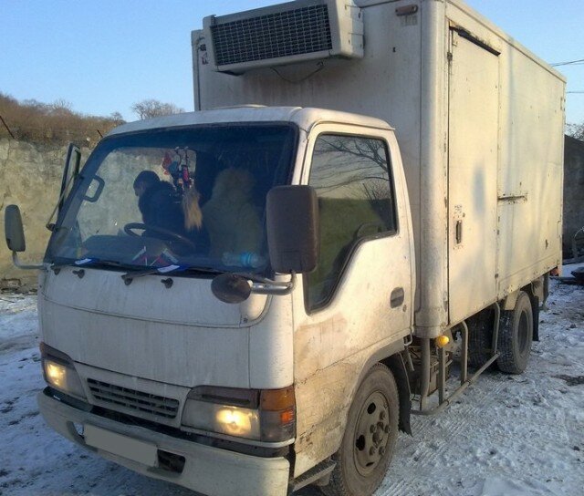 isuzu elf, исудзу эльф 91, исузу эльф 2007, mitsubishi canter 1998, toyota dyna 2003 год рефрижератор