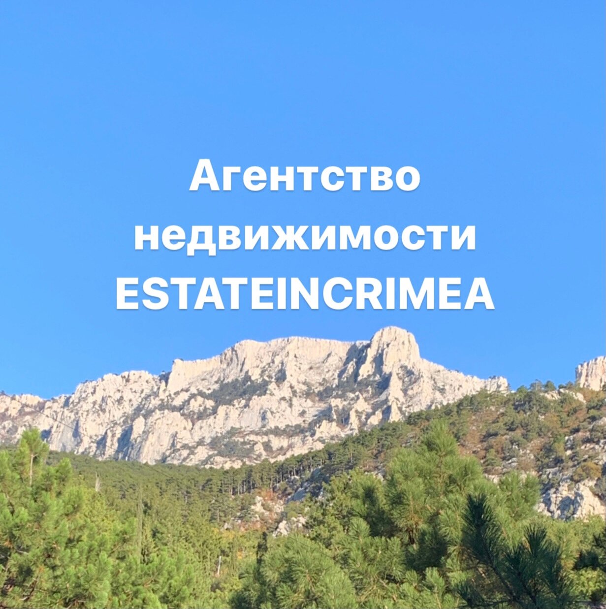 Недвижимость в Крыму