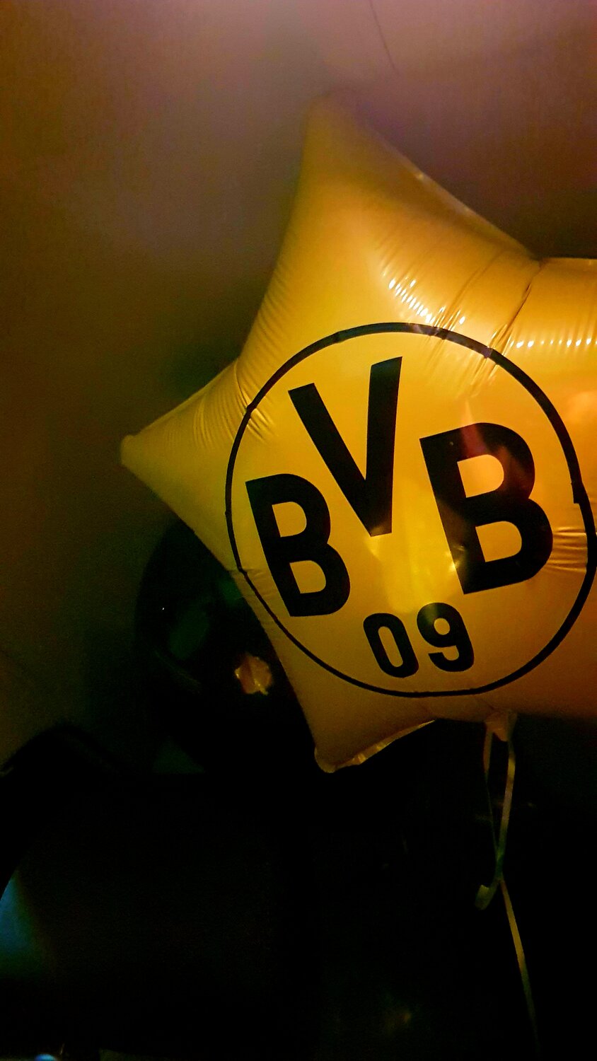 боруссия, боруссия дортмунд 256х256, логотип, логотип borussia dortmund, дортмунд