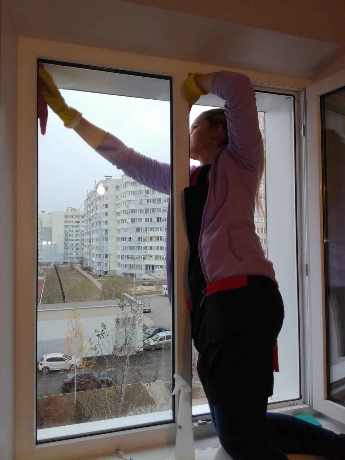 Инна Александрова - Хозяйство и уборка, Уборка, Белгородская область на ...