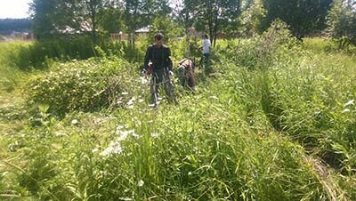 в деревне, участок, очистка участка от деревьев и кустарников, на даче, природа