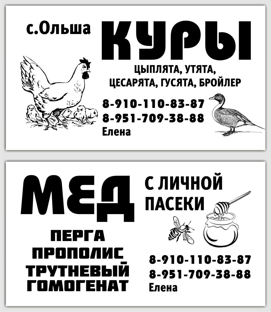 кур, домашние птицы, домашняя птица, курица рисунок, курица с цыпленком