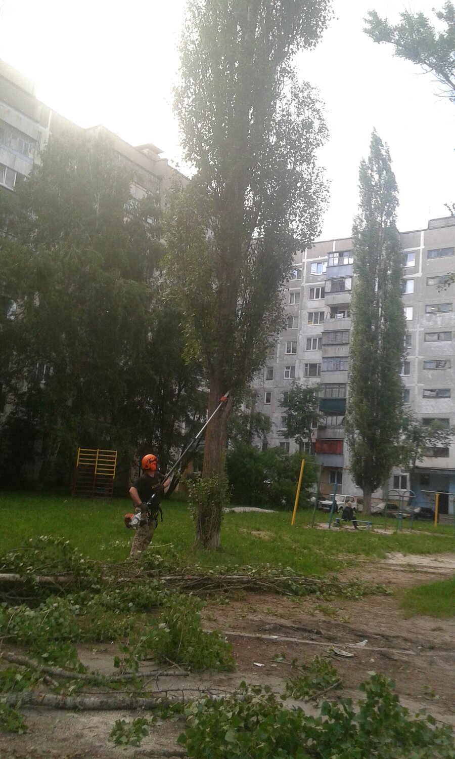 во дворе, улица, генерала лизюкова 40 дом воронеж, дом, дерев