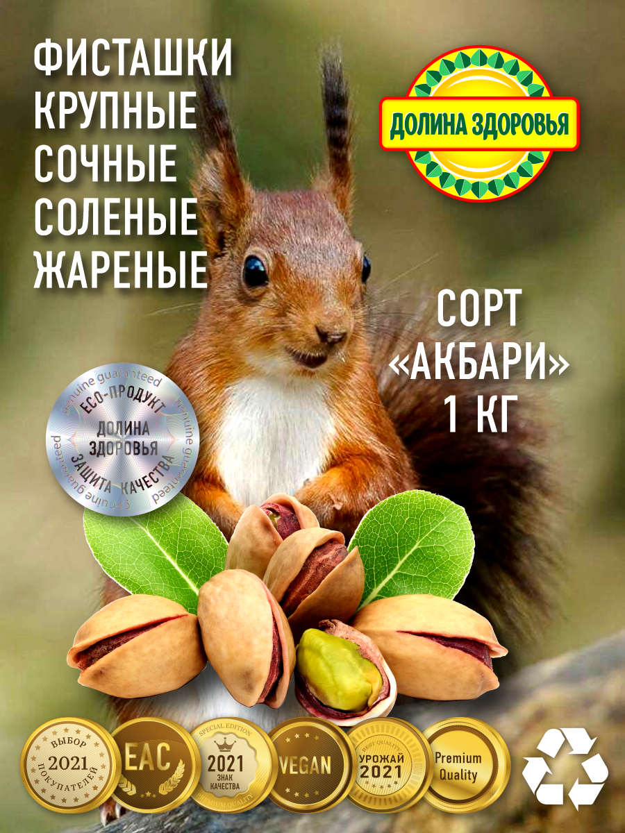белка, белочка, обыкновенная белка, белка окружающий мир, праздничная белка