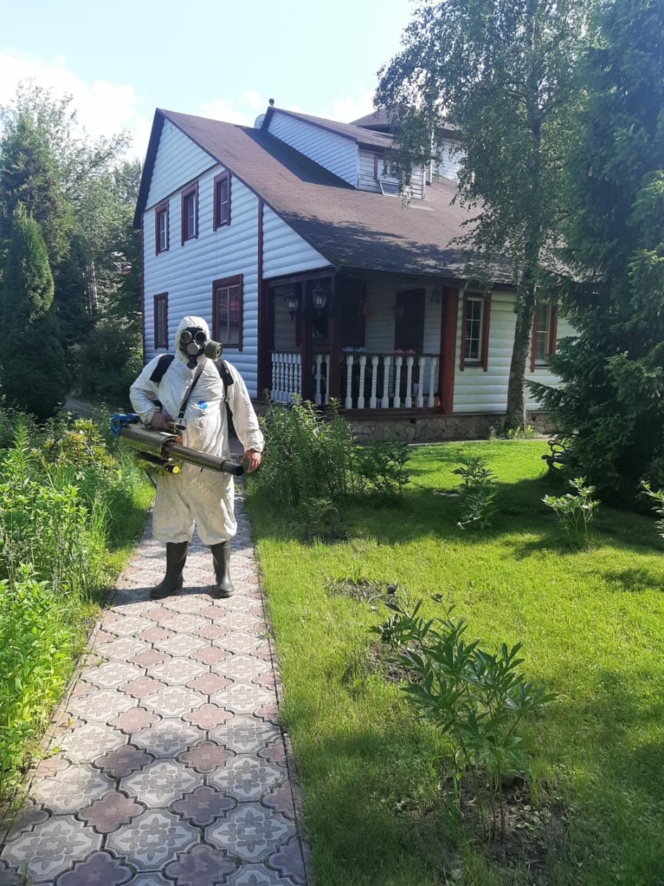 загородный дом, деревни, дача, усадьба, дачи лужского направления