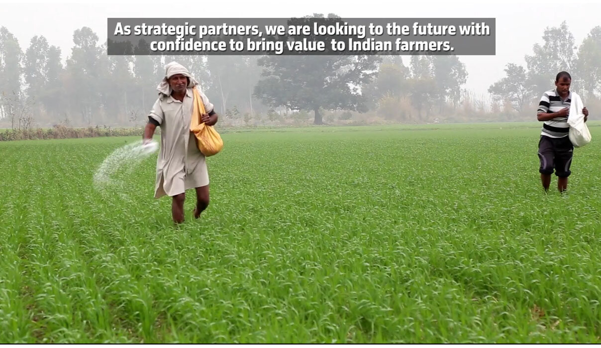 indian farmer, farmer, фермер в поле, рис на поле, грин фармер армения