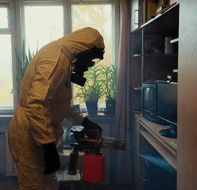 дезинсекция клопов туманом, уничтожение клопов, дезинсекция, горячий туман от клопов, холодный туман от клопов