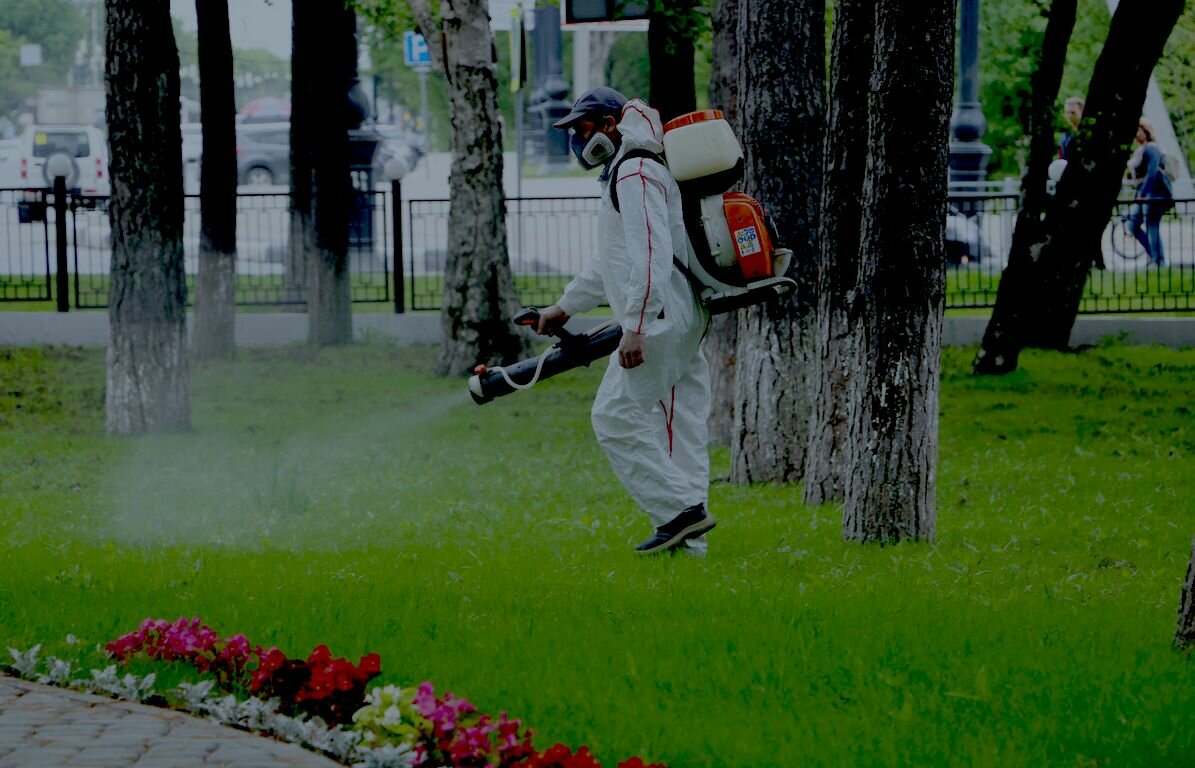 обработка от клещей, акарицидная обработка, обработка участка от клещей, обработка территории от клещей, акарицидная обработка от клещей