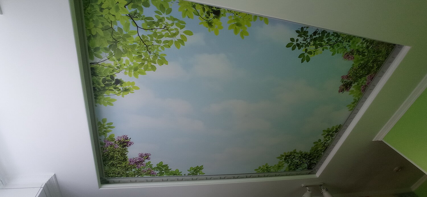 потолок фотопечать, красивые потолки с фотопечатью, фотопечать на натяжных потолках, натяжной потолок швы фотопечать, матовые натяжные потолки с фотопечатью