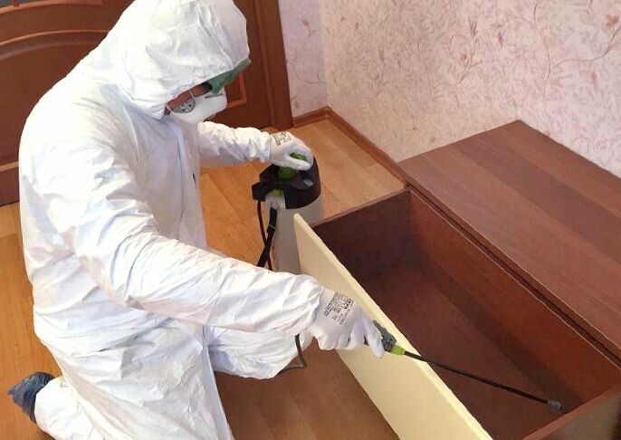 дезинфекция в москве от тараканов и клопов, уничтожение клопов, дезинсекция, уничтожение клопов новосибирск, уничтожение клопов в дубне