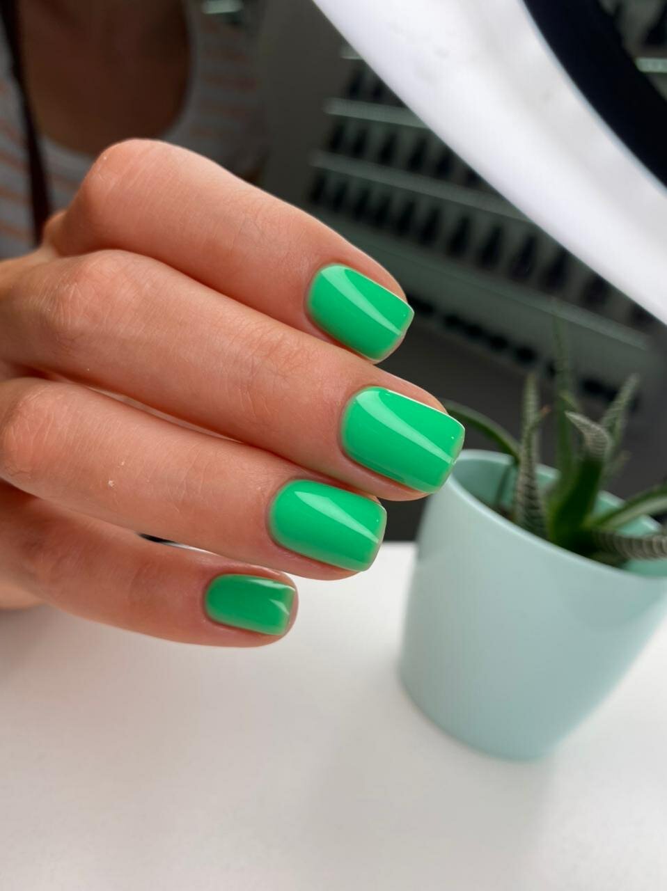 дизайн ногтей мятного цвета, маникюр и покрытие гель лаком, маникюр, ногти гель лак, ногти мятного цвета