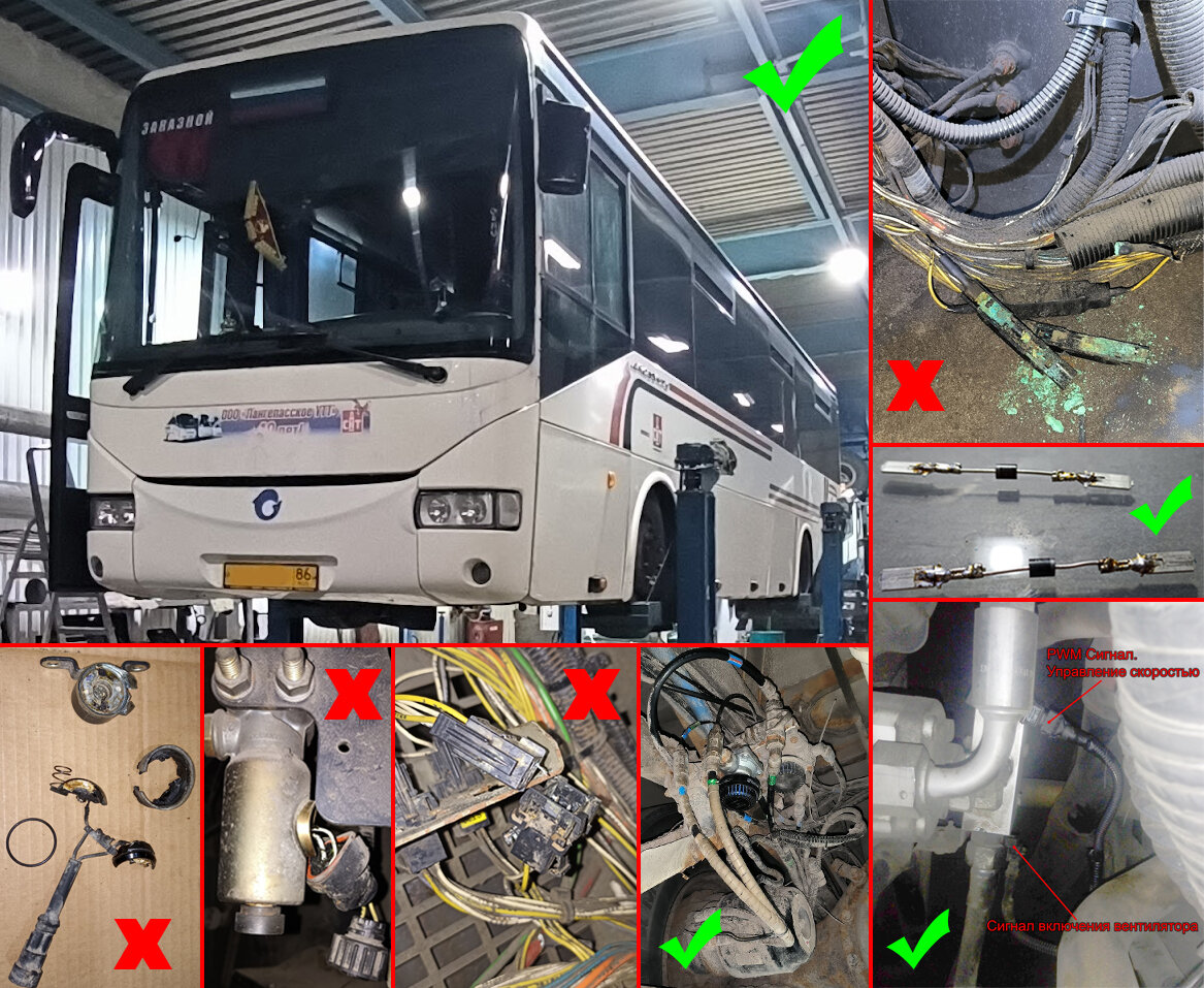 автобус маз, кинг лонг 45, пассажирский автобус, туристический автобус, автобус