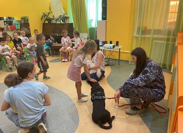 реабилитационный центр для детей, кот, детский сад, детский, приют надежда белогорск амурская область