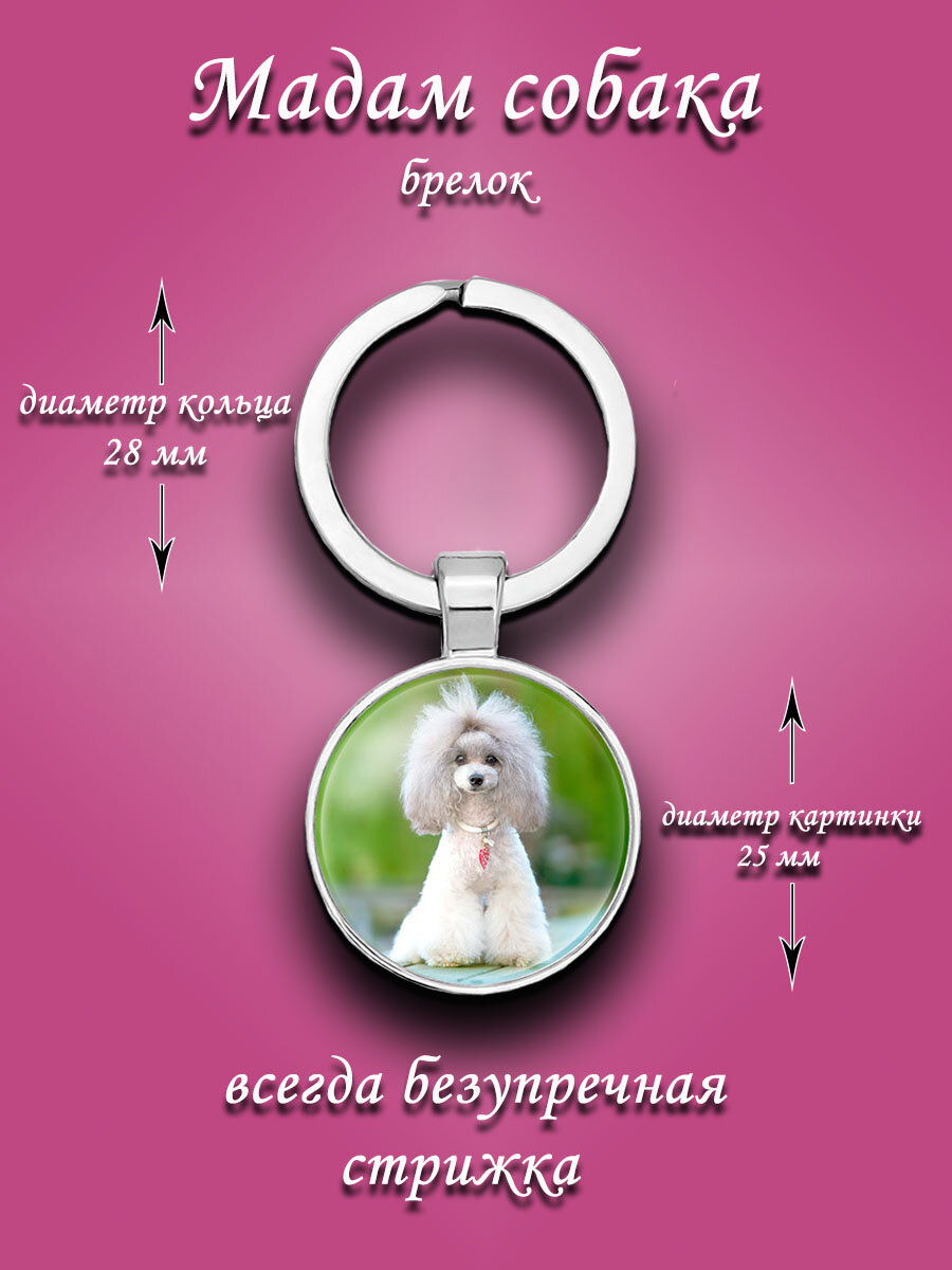 брелок мальтезе, брелок стеклянный с собакой, брелок с собакой, брелок для ключей бишон, брелок бишон