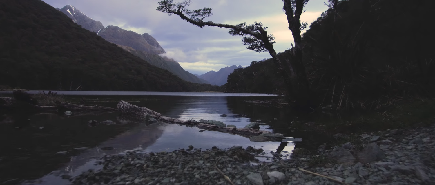 fiordland new zealand, milford sound new zealand, ������������, �������� ��������, �������������� ���������� ����������������