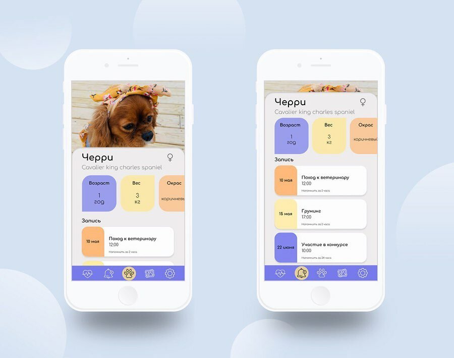 приложение, мобильное приложение, веб дизайн, графический дизайн, app for pets дизайн